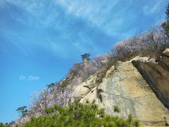 -天津盘山风景名胜区