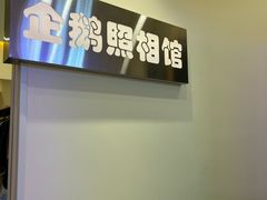 -企鹅照相馆(岗顶天娱店)
