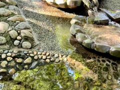 -成都市活水公园