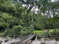 -陕西省红河谷森林公园