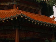 -永安水煮活鱼·仪征土菜院子