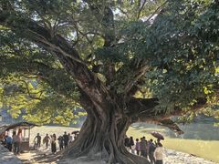 -福建土楼(南靖)景区