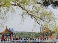 -长春市南湖公园