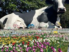 -光明农场大观园