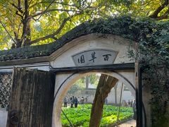 -绍兴鲁迅故里·沈园景区