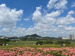 -光明小镇欢乐田园