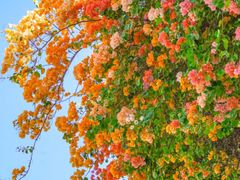 -天河客运站(地铁站)