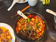 -陈麻婆豆腐总店