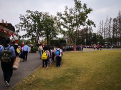 -上海长兴岛郊野公园