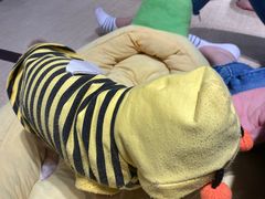 -逗柴咖啡屋·狗咖猫咖宠物桌游