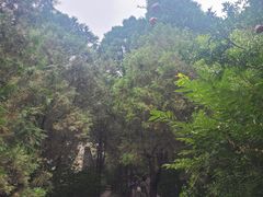 -四门塔风景区