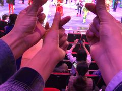 -珠海横琴长隆《卡卡虎奇遇记》