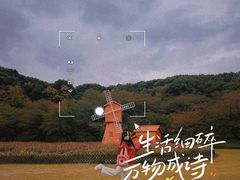 -苏州上方山国家森林公园
