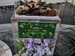 -LuOne凯德晶萃广场(徐家汇路店)