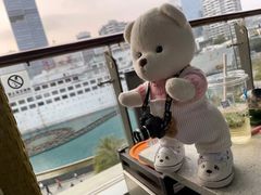 -润园四季椰子鸡火锅(海上世界店)