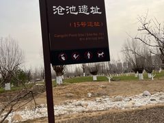 -汉长安城未央宫国家考古遗址公园