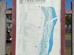 -江滩湿地公园