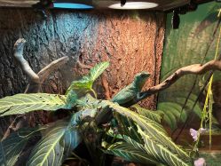 -酷嗒动物文化乐园(cutezoo西溪乐天城店)