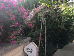 -Rock Bar Bali(Bali)