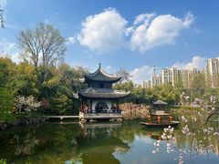 -水绘园