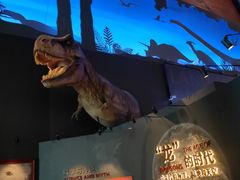 -贝林大翅鲸简餐厅(国家海洋博物馆店)