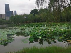 -后襄河公园