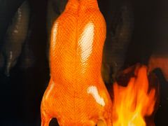 -张烤鸭·川菜·非遗冒烤鸭(青石桥店)