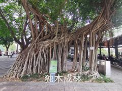 -荔湾湖公园