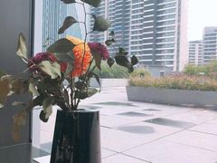 -凤凰湘语·湘粤鲜融(浦东旗舰店)