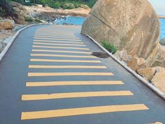 -广东惠东海龟国家级自然保护区