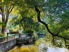 -东湖落雁景区