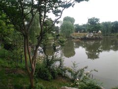 -鹅湖玫瑰文化园