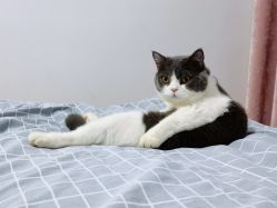 -FineYoga梵音瑜伽·普拉提