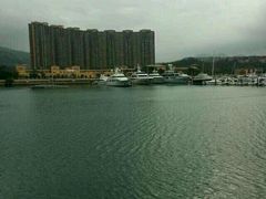 android_upload_pic-香港皇家太平洋酒店