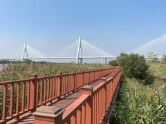 -芒洲湿地公园