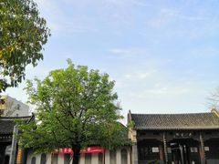 -花洲书院
