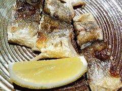 -镹·鱼料理  国产鱼使用店