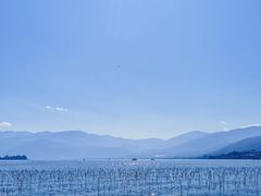 -西昌邛海湿地