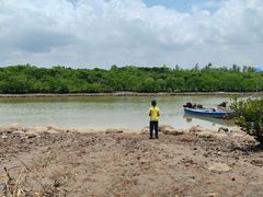 -东寨港红树林旅游区