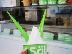 -Salud撒露欧洲冻酸奶(蓝色港湾店)