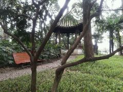 -汇龙潭