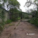 山里废弃的工厂【龙泉山北段，锅炉厂】