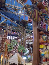 -卡通尼·Safari非洲探索乐园·生日会(金桥国际商业广场店)