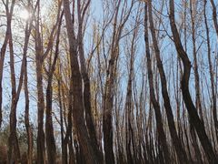 -野鸭湖国家湿地公园