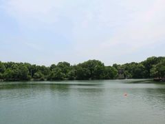 -紫霞湖公园