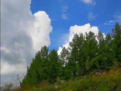 -塞罕坝国家级自然保护区