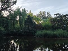 -趵突泉景区