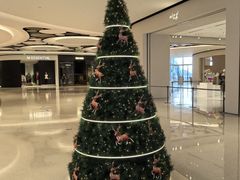 -深圳湾万象城(南山店)