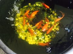 -到家尝北京菜(西坝河店)