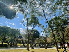 -火炉山森林公园